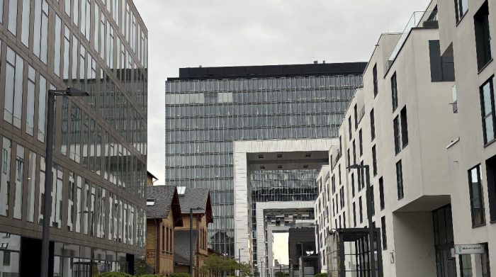 Rheinauhafen Führung Köln